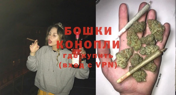 соль ск Ельня