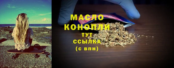 соль ск Ельня