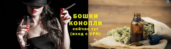 мдпв Волосово