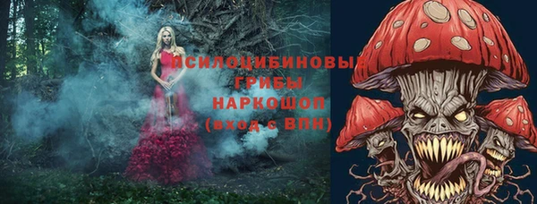 spice Володарск