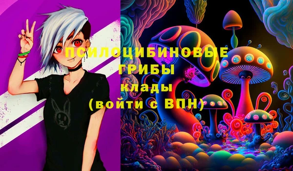 мдпв Волосово