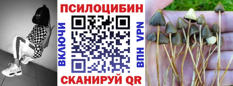 купить наркотик  ссылка на мегу ONION  Псилоцибиновые грибы Cubensis  Верея 